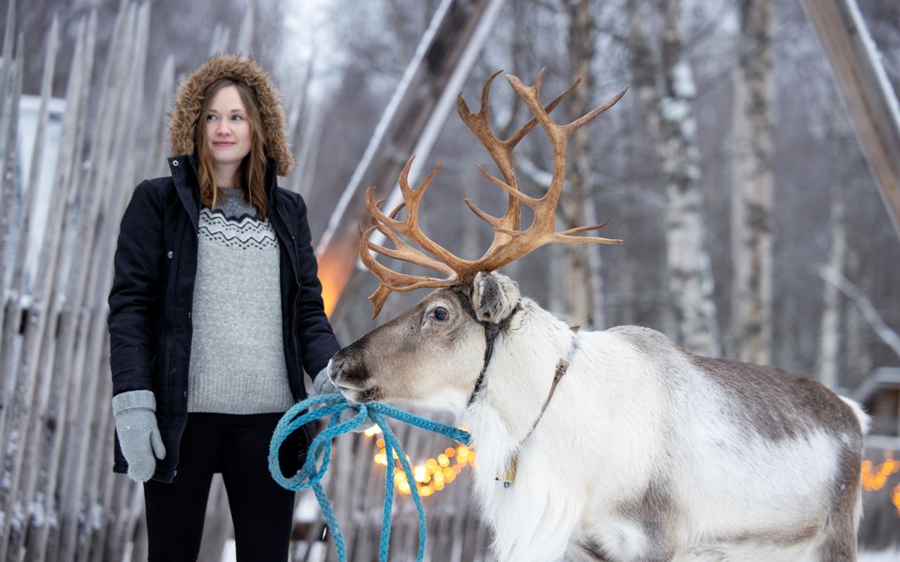 Reindeer with woman