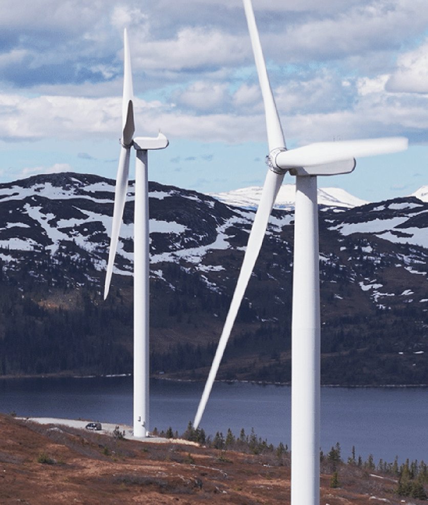 Flower, Locus Energy, case, Insights, wind power