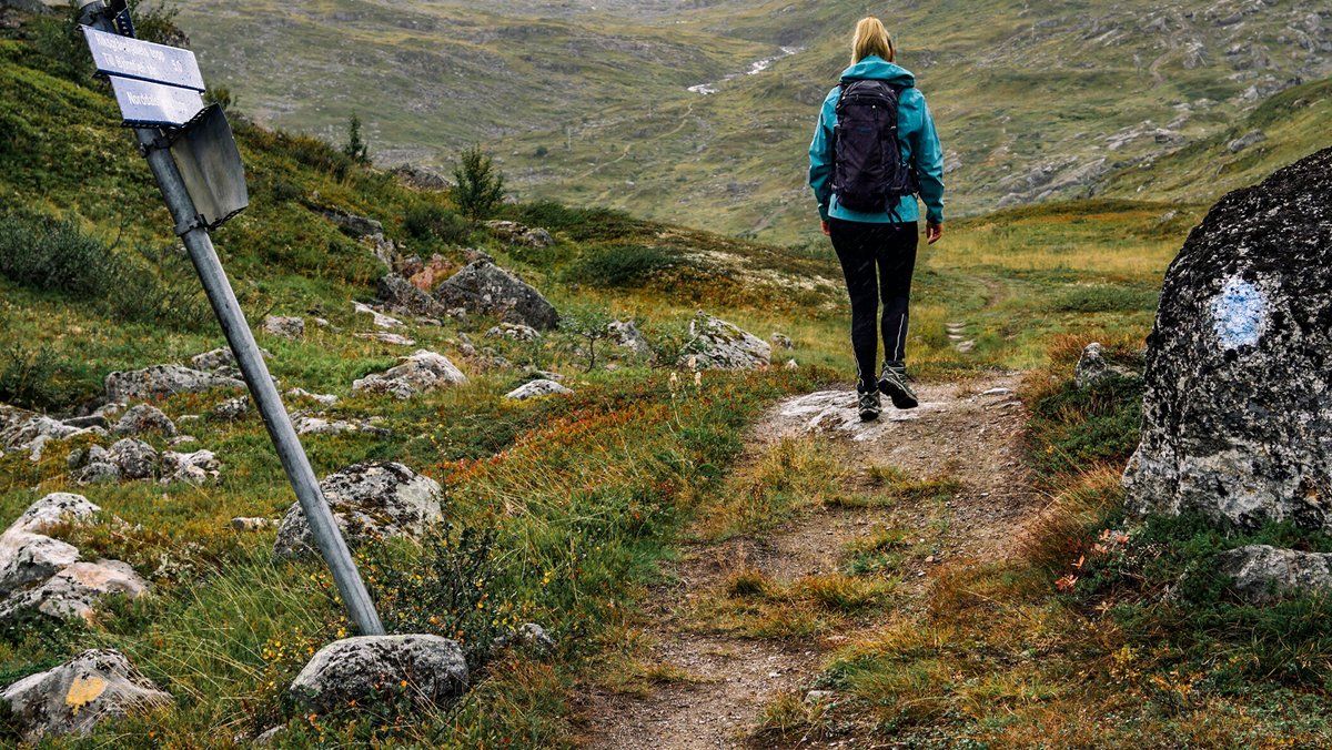 kvinna vandrar en dimmig sommardag mot Katterjaure