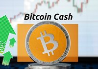 Daily crypto: Bitcoin cash continues to rally on otherwise stagnant markets