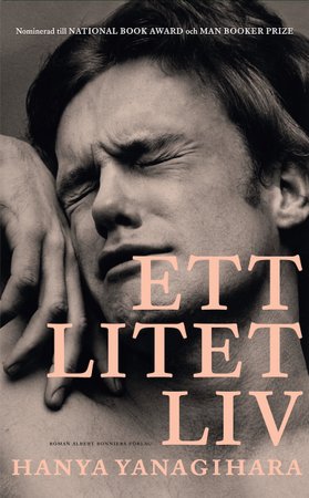 5 böcker för dig som älskade ”Ett litet liv”