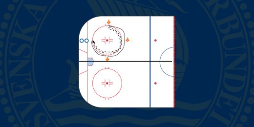 Skridskocirkeln (Video)