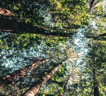 Barkarbystaden med närhet till Järvafältets grönområden