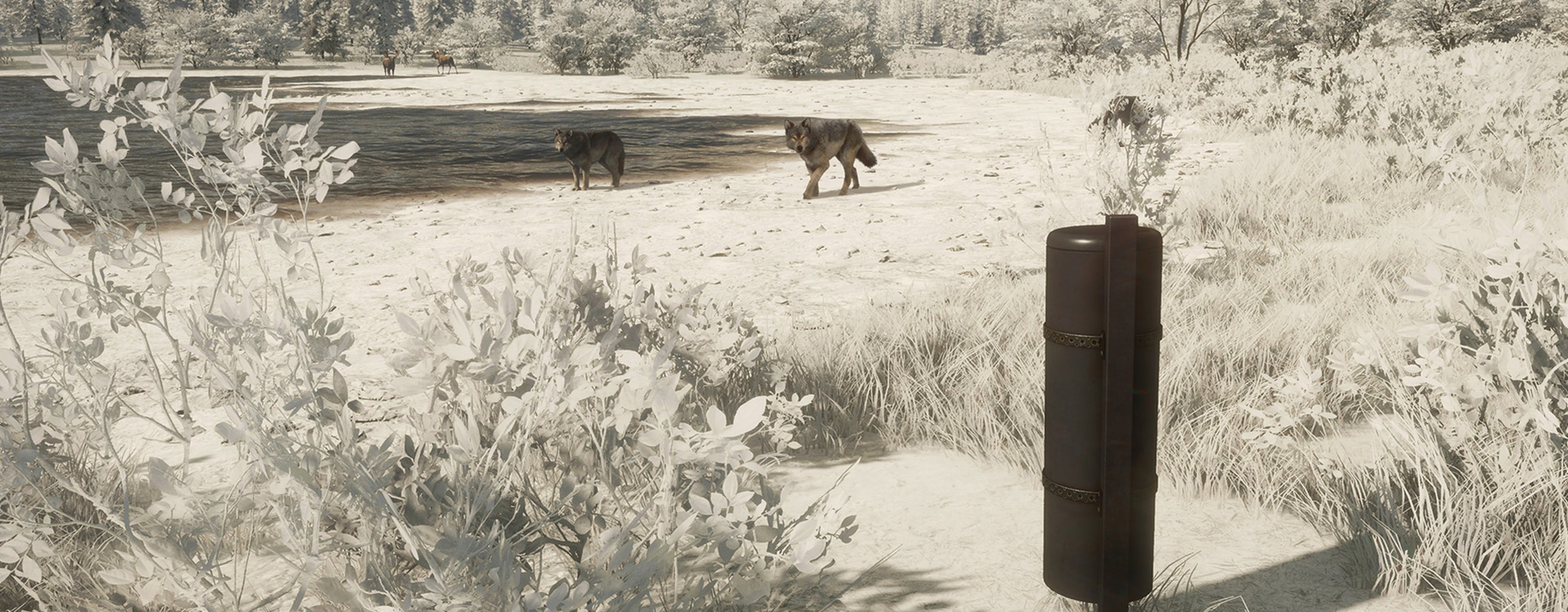 Wolves surround a scent tube feeder