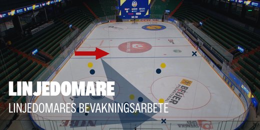 YouTube: Grunderna i LD:s bevakningsarbete