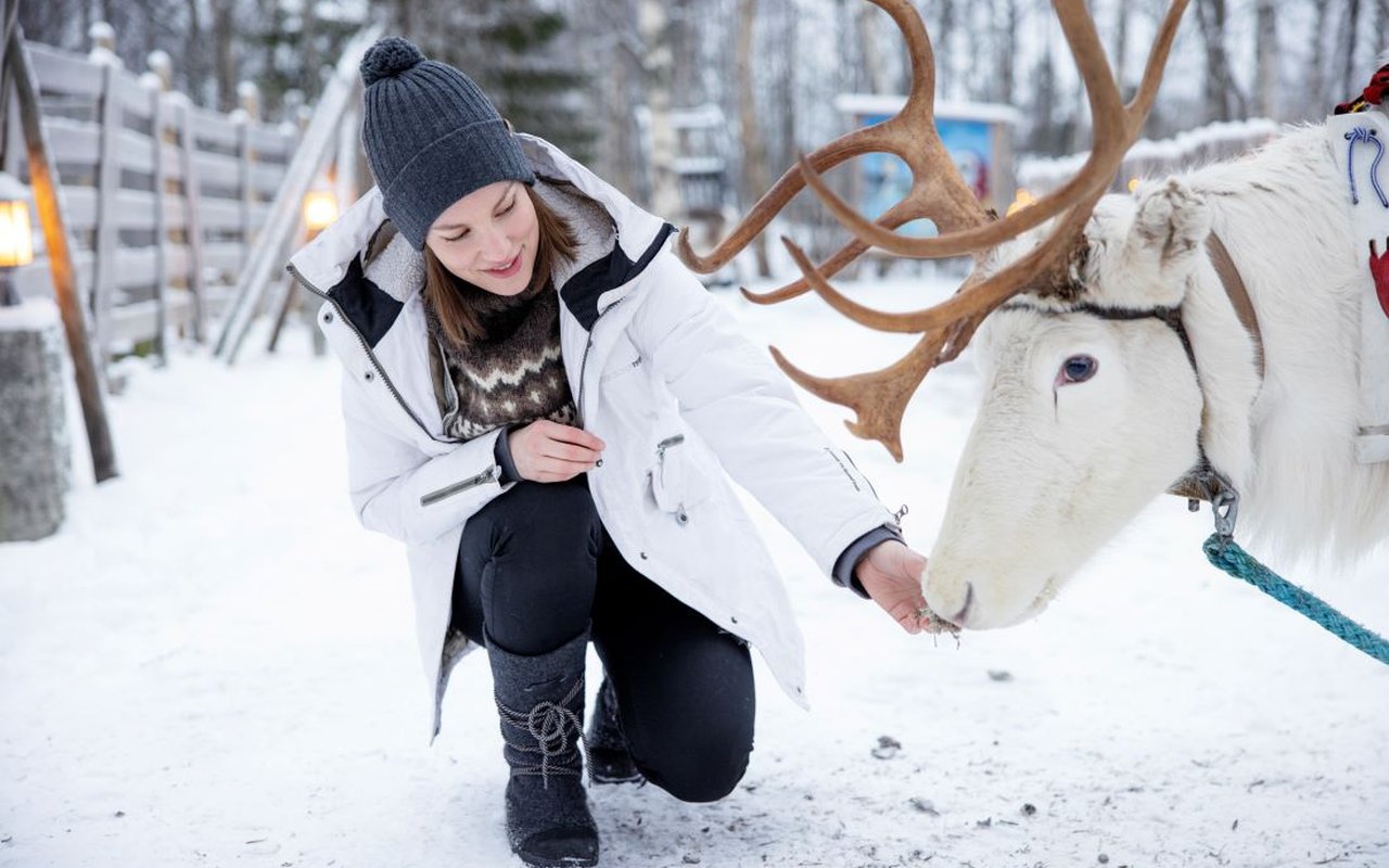 Reindeer farm visit