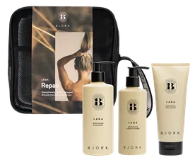 Björk - Presentkit LAGA