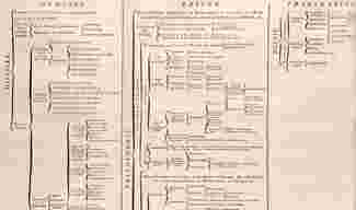 A system of human knowledge from the ‘Encyclopédie ou Dictionnaire Raisonné des Sciences, des Arts et des Métiers’ edited by Denis Diderot and Jean le Rond d&#039;Alembert.