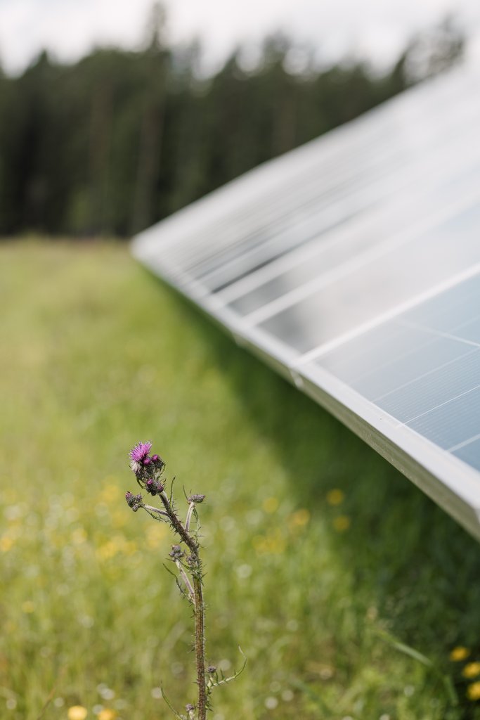 IMG_4413 - Sunna Aneo Invigning (2048px) by Sofia Lewerin