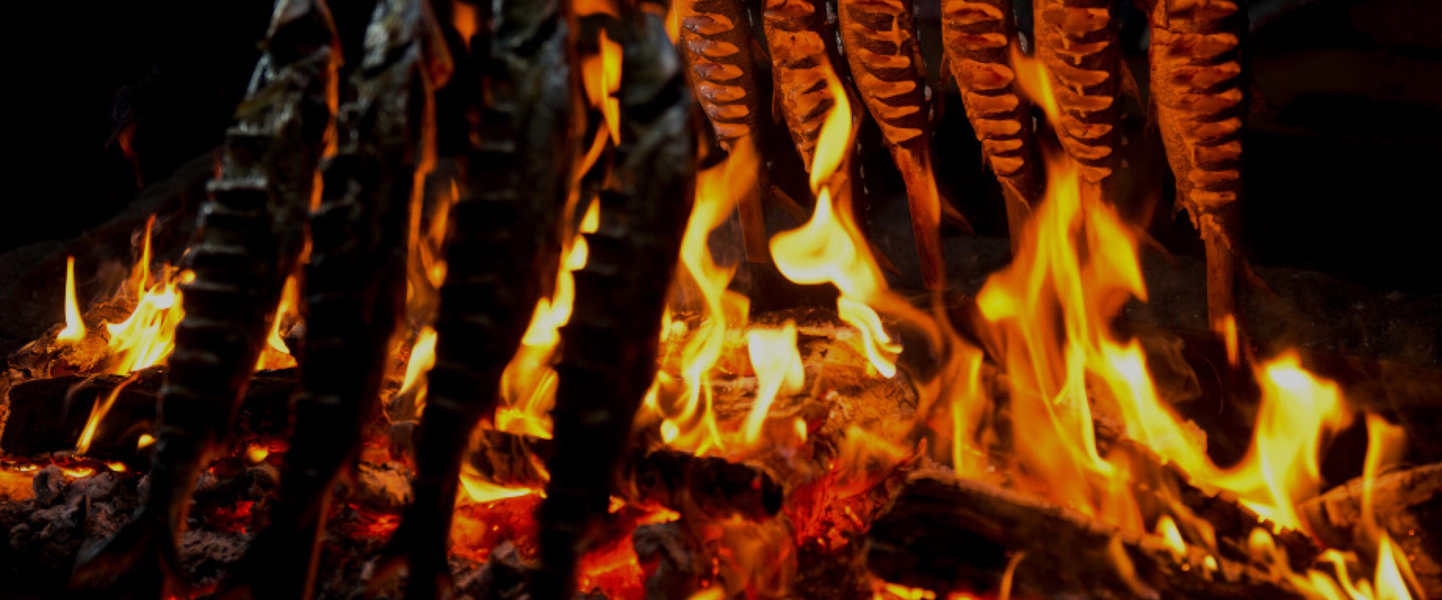 Kukkolaforsen - Bastun och sikens rike