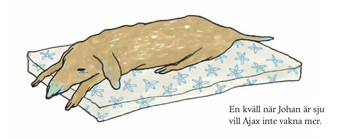 7 gånger Stina Wirsén beskriver svåra ämnen för små läsare