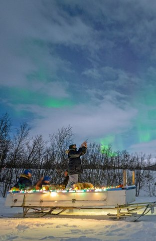 aurora borealis norhtern lights sleigh snowmobile guided tour