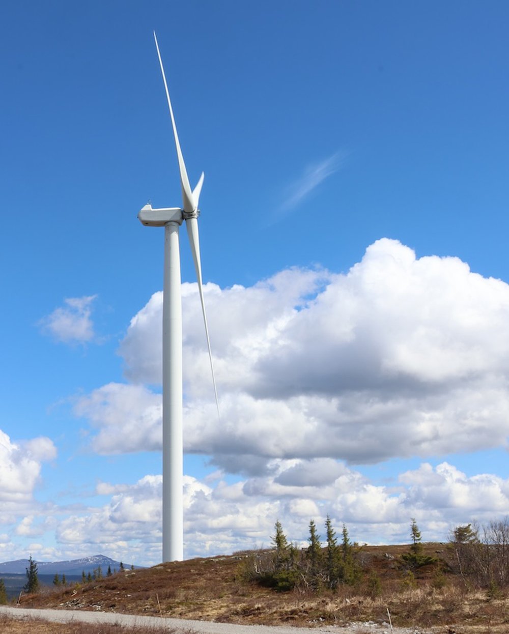 Renewable power, Flower, PPA, Green Baseload