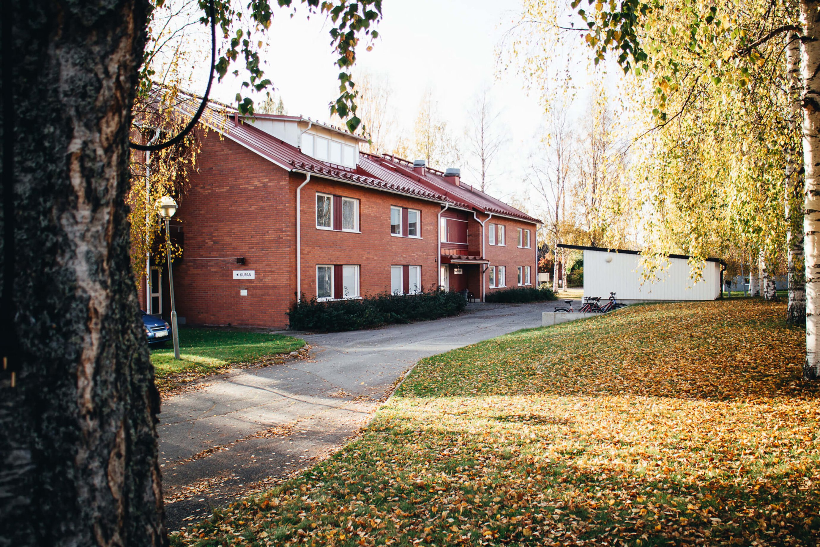 studentboende skellefteå medlefors