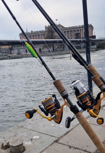 Hebalaxen är fisketävlingen mitt i stan