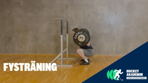 Fysövning: Knäböj