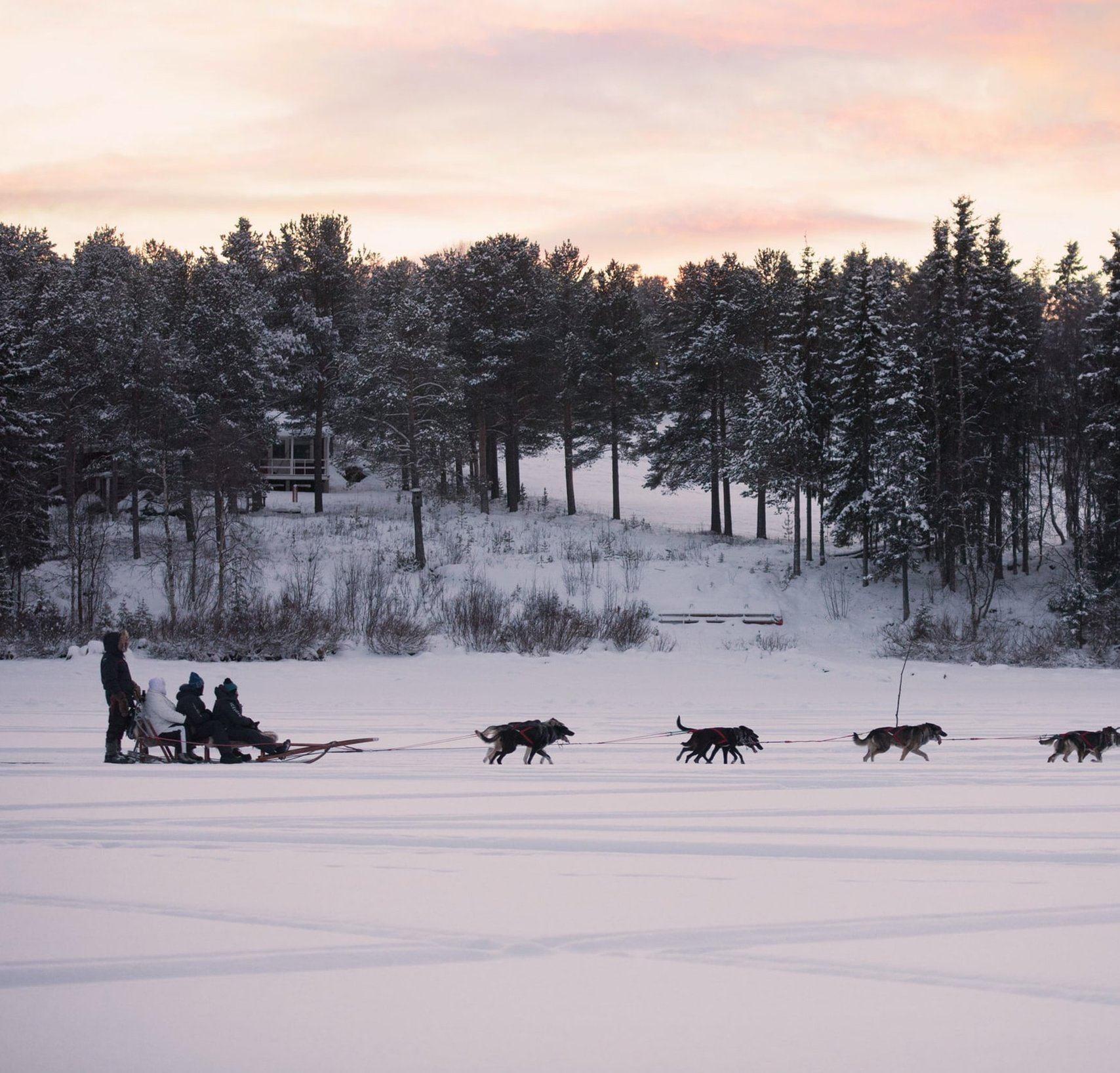 Snowdog Sunset zen husky tur