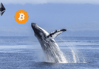 Bitcoin-valar skapar oro med plötsliga plånboksrörelser