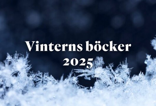 Bazar förlag vinterns böcker 2025–2026