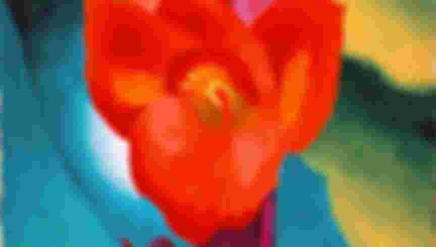 Georgia's O'Keeffe's Red Canna, 1924. Credit: Public Domain