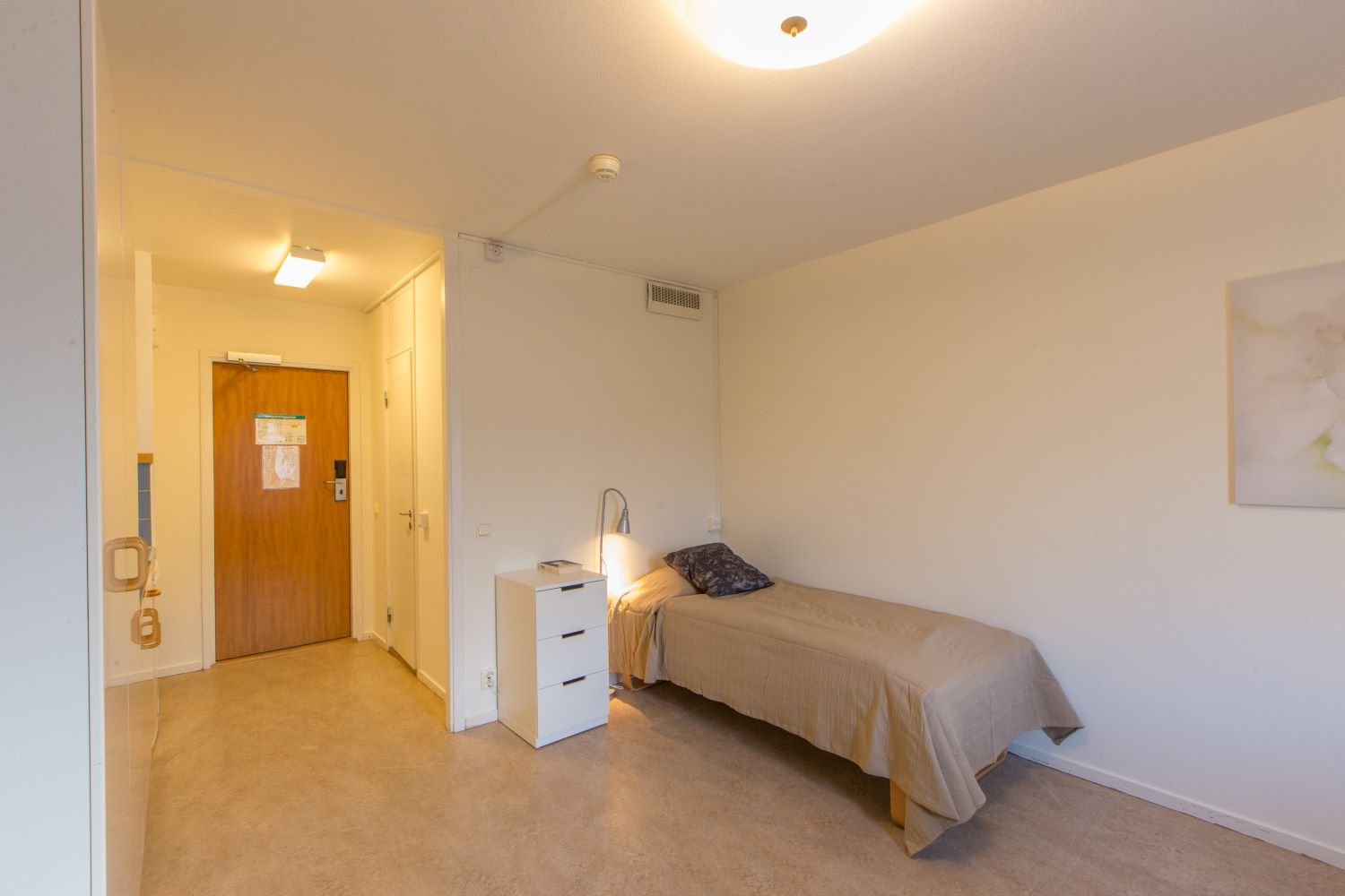 Student room with bed and bedside table.
