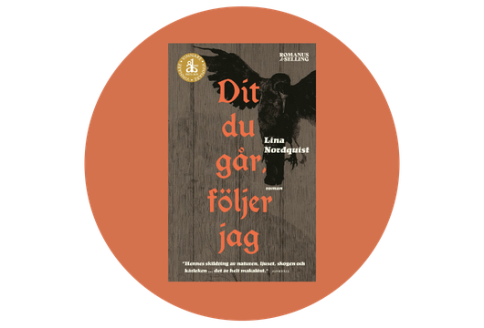Dit du g&aring;r f&ouml;ljer jag av Lina Nordquist