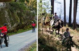 Buffertskogar ska ge fler besökare till nationalpark