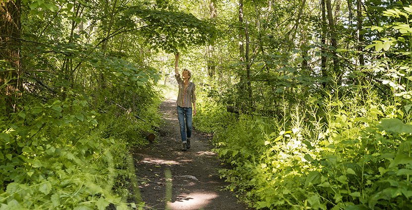Skogsterapiguiden Lisen Sundgren leder skogsbadet Foto Charlotte Gawell