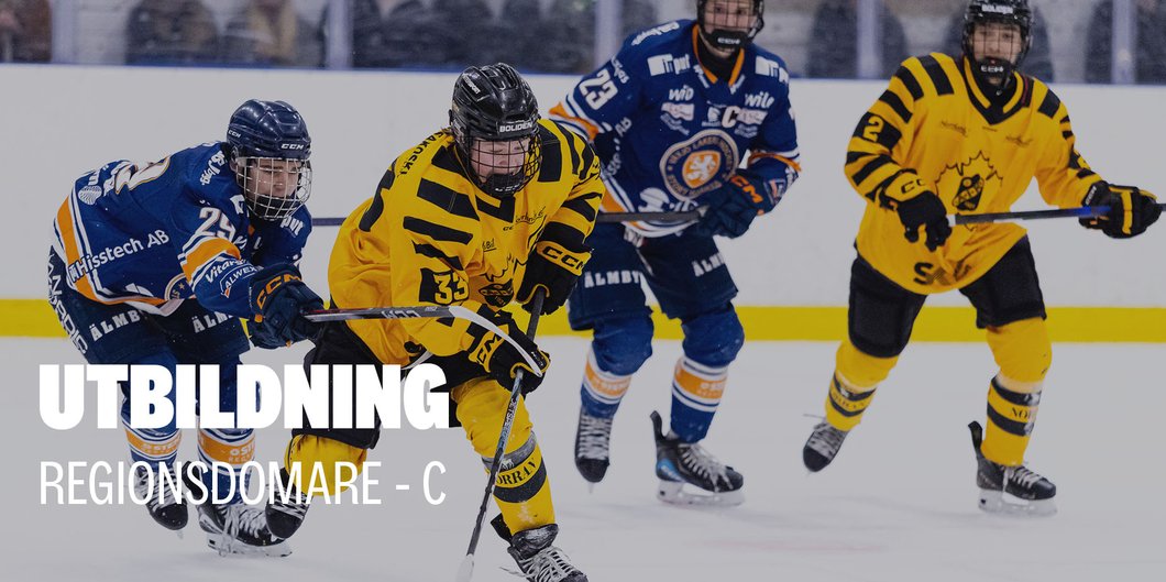 Utbildning - Regionsdomare C