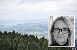 Nya turistchefen: ”Värmland är ett Sverige i miniatyr”