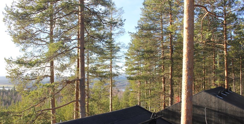 Rummet har panoramafönster med utsikt över Luleälven. 