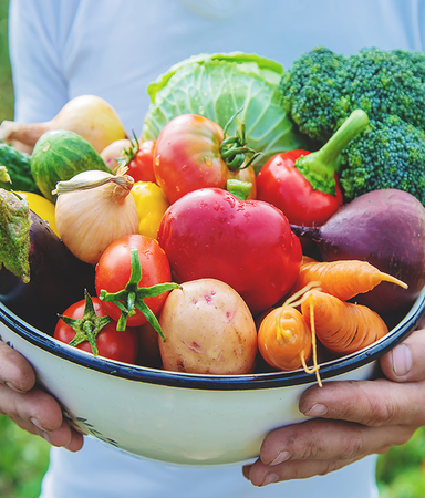 7 riktigt bra handböcker om att odla ätbart