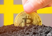 Trots FTX-skandalen – kunder har kvar bitcoin på svenska handelsplattformar
