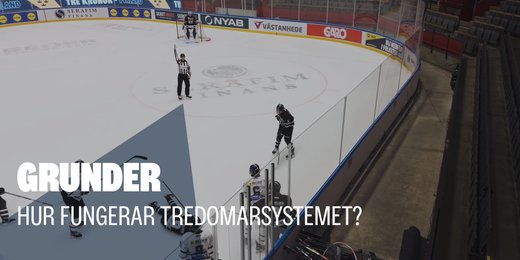 Grunderna i tredomarsystemet