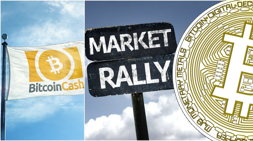 Kryptodygnet: Marknaderna stiger och bitcoin cash rusar.