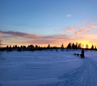 Husky Dreams kvällstur
