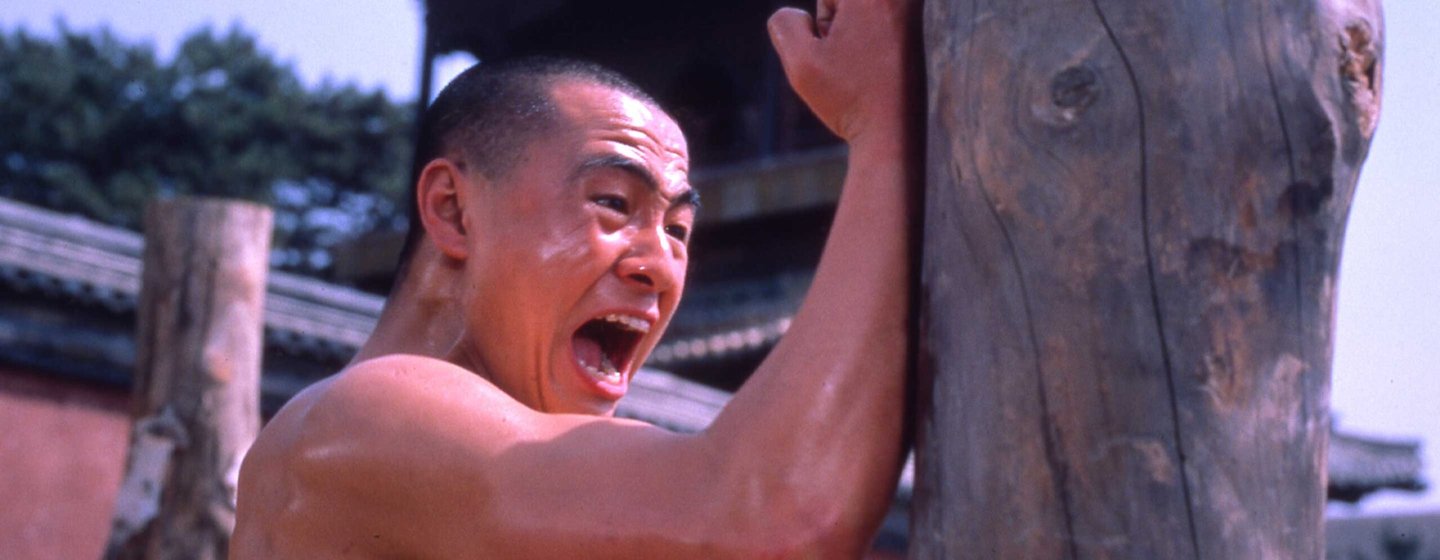 Disciples of Shaolin Temple