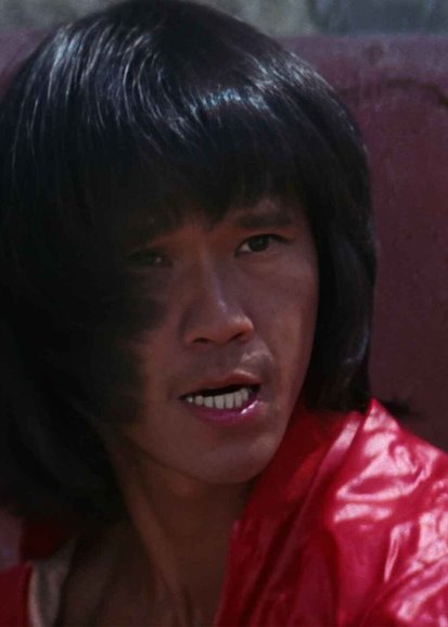 Challenge of the Tiger