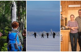 Vilda framgångar i Lappland