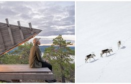 Fem trender 2025 enligt Visit Sweden