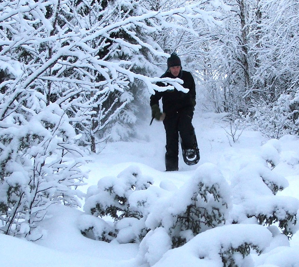 Outdoor north 67 snowshoe walk in the forest