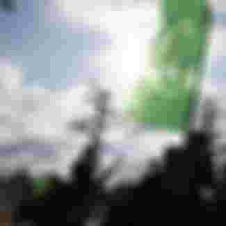 Members of the Hamas Izz al-Din al-Qassam Brigades.