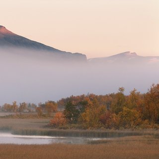 Naturfoto höst i Kiruna med Scandinavian Photoadventures