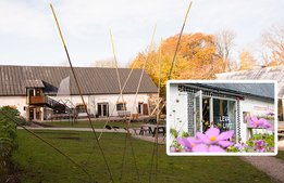 Byggprojekt på Gotland ska främja besöksnäringen