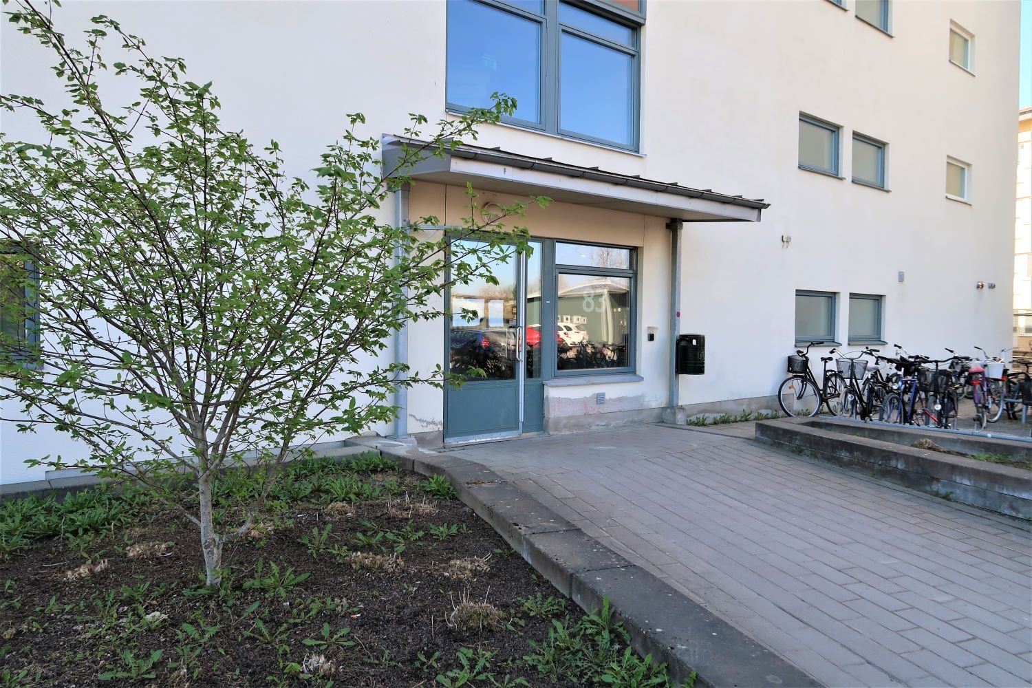 Exterior of white building with a tree and bicycle parking outside.