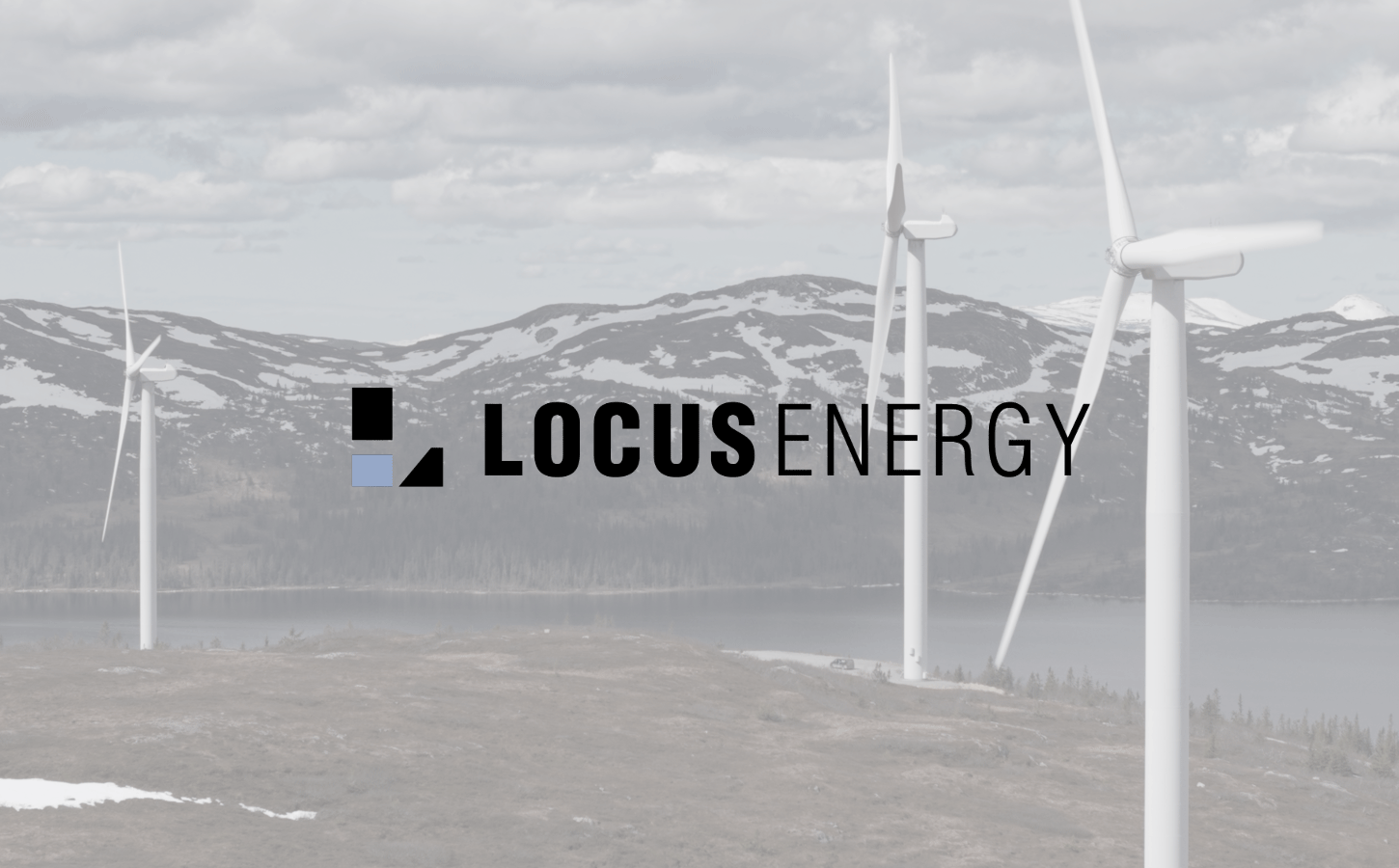 Locus Energy, Flower