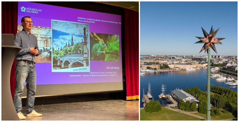 Tobias Heldt, docent i turismvetenskap vid Högskolan Dalarna. 