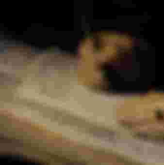 Rembrandt's 'Portrait of a Scholar', 1631.