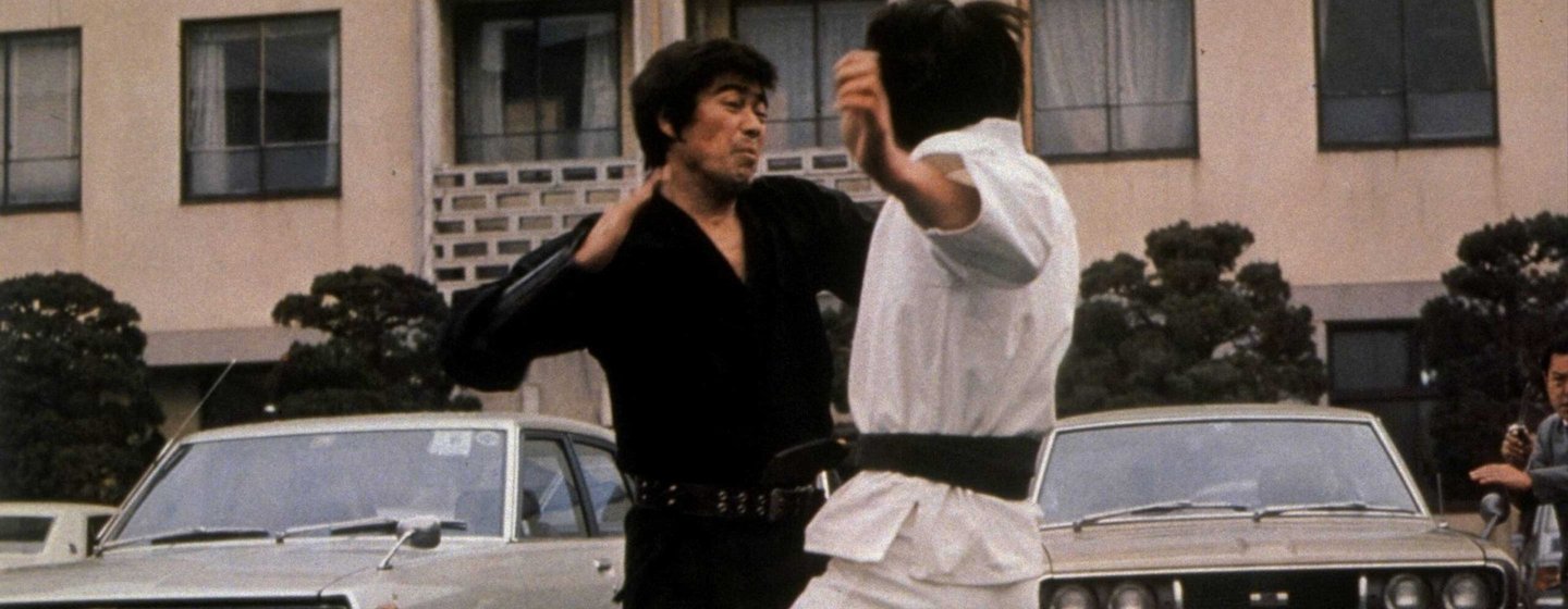 Return of the Street Fighter