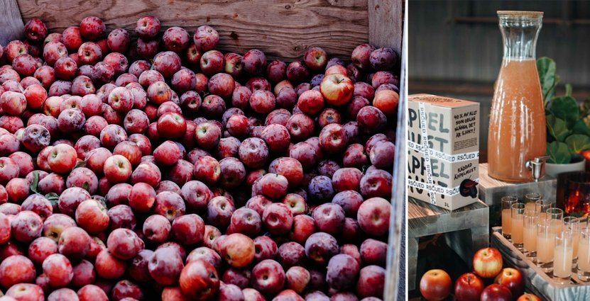 Nordic Choice Hotels och Rscued räddade 150 ton äpplen som skulle slängas på grund av sviterna efter en hagelstorm. Foto: Pressbild